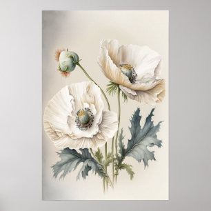 Weiße Mohnblumen Kunst Druck Poster