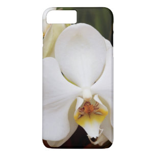 Weiße Mond-Orchidee (Phalaenopsis Aphrodite) iPhone 8 Plus/7 Plus Hülle