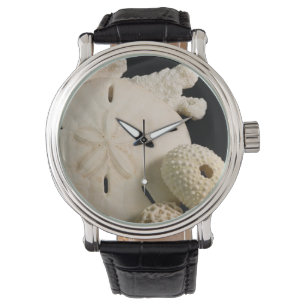 Weiße Muscheln und Sand-Dollar Armbanduhr