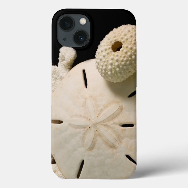 Weiße Muscheln und Sand Dollar Case-Mate iPhone Hülle (Rückseite)