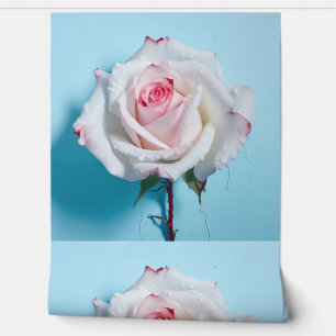 Weiße nasse Rose auf türkisblauem Hintergrund Tapete