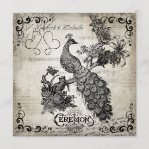 Weiße Noten Pfau Hochzeit Einladung