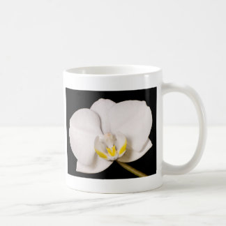 Weiße Orchidee auf Schwarzem Tasse