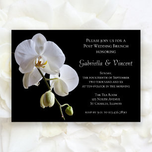 Weiße Orchidee auf schwarzer Hochzeitsbrunch-Einla Einladung