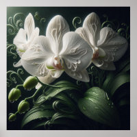 Weiße Orchidee
