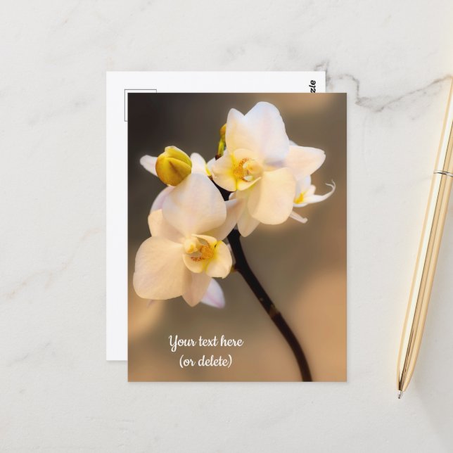 Weiße Orchidee Postkarte (Vorderseite/Rückseite Beispiel)