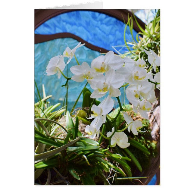 "Weiße Orchideen" (Vorne)