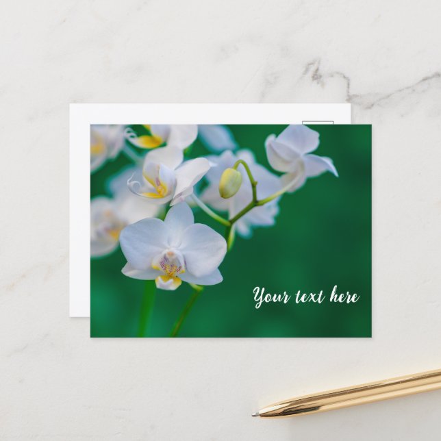 Weiße Orchideen auf Grün Postkarte (Vorderseite/Rückseite Beispiel)