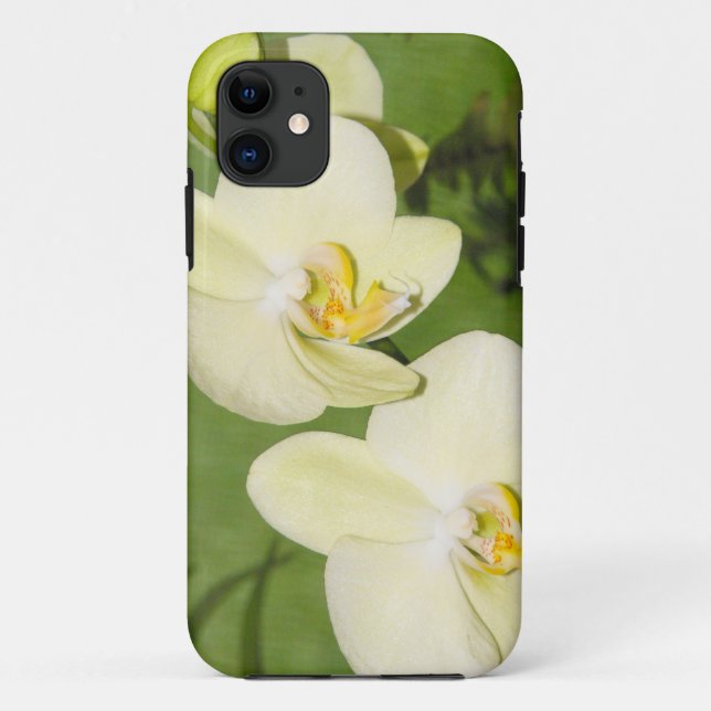 Weiße Orchideen auf grünem Hintergrund Case-Mate iPhone Hülle (Rückseite)