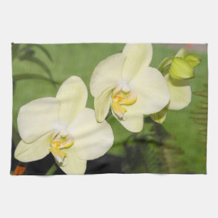 Weiße Orchideen auf grünem Hintergrund Küchentuch