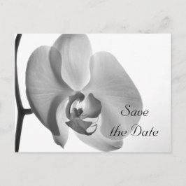 Weiße Orchideen-Blume Hochzeit Sichern Sie das Dat Ankündigungspostkarte