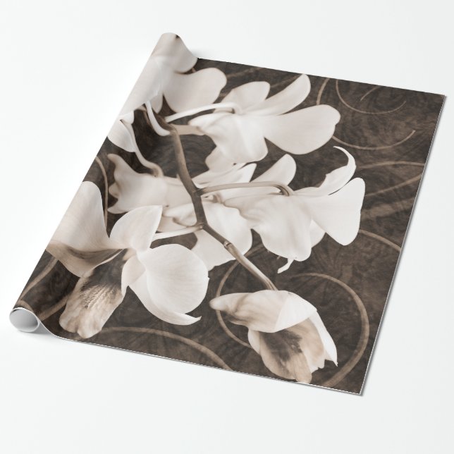 Weiße Orchideen-Blume Sepia Schwarzer Hintergrund  Geschenkpapier (Ungerollt)