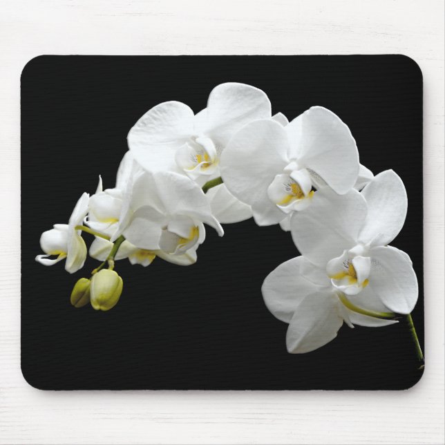 Weiße Orchideen-Blüte Mousepad (Vorne)
