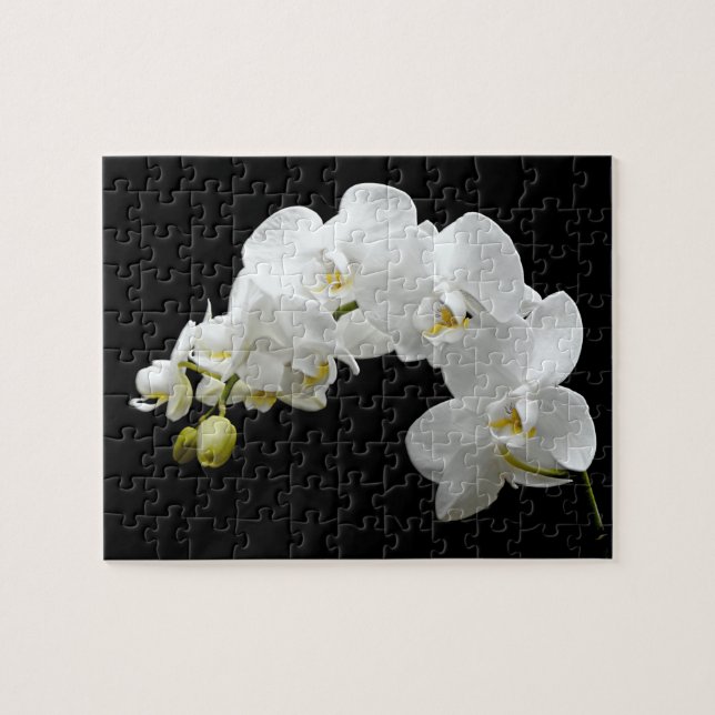 Weiße Orchideen-Blüte Puzzle (Horizontal)