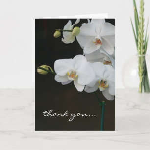 Weiße Orchideen danken Ihnen Dankeskarte