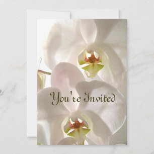 Weiße Orchideen_ Einladung