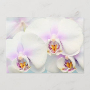 Weiße Orchideen Einladung