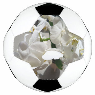 Weiße Orchideen-Fußball Fußball