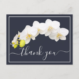 Weiße Orchideen gegen den Hintergrund der Marine V Postkarte