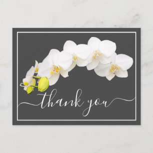 Weiße Orchideen gegen grauen Hintergrund Vielen Da Postkarte