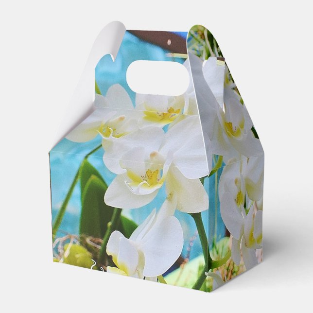 Weiße Orchideen Geschenkschachtel (Vorderseite)