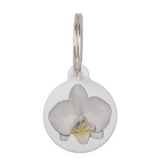 Weiße Orchideen-Hundeanhänger Haustiermarke