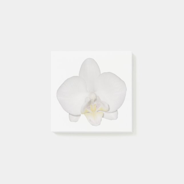 Weiße Orchideen-Notizzettel Post-it Klebezettel (Vorderseite)