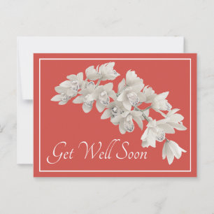 Weiße Orchideen Orangefarbener Hintergrund wird ba Postkarte