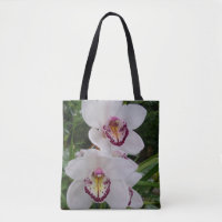 Weiße Orchideen Schöne tropische Blume