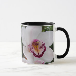 Weiße Orchideen Schöne tropische Blume Tasse