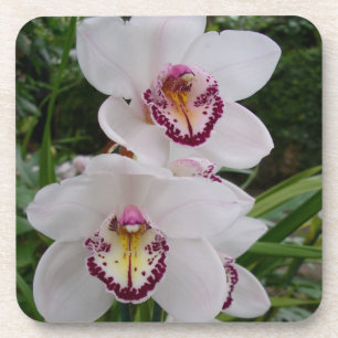 Weiße Orchideen Schöne tropische Blume Untersetzer