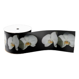 Weiße Orchideen, tropisches Foto Ripsband