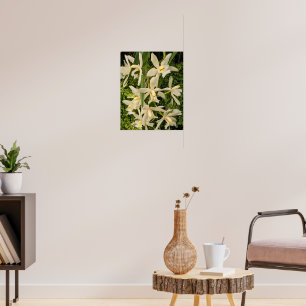 Weiße Orchideen und Farne Blumen Poster