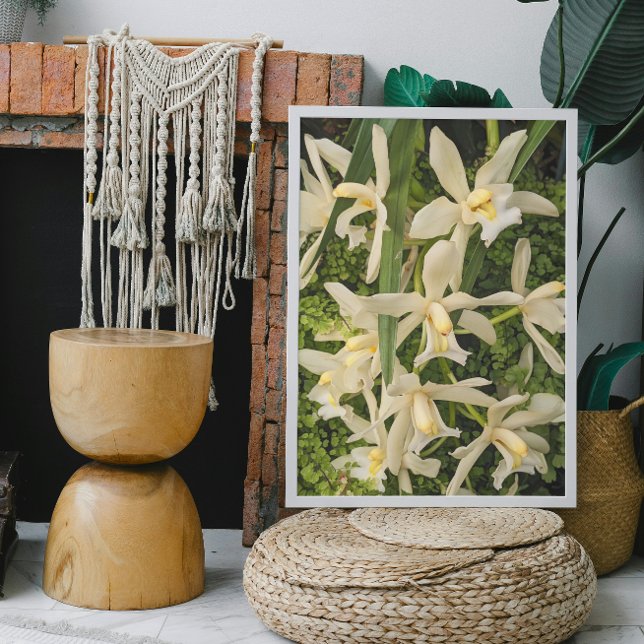 Weiße Orchideen und Maidenhair Ferns Floral Fotodruck (In Situ Framed)