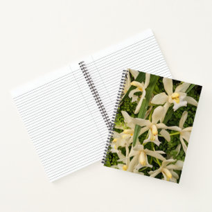 Weiße Orchideen und Maidenhair Ferns Floral Notizbuch