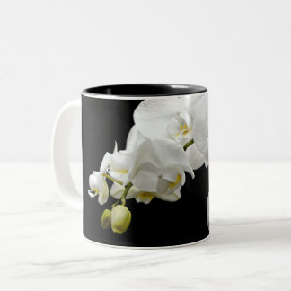Weiße Orchideenbllosse Zweifarbige Tasse
