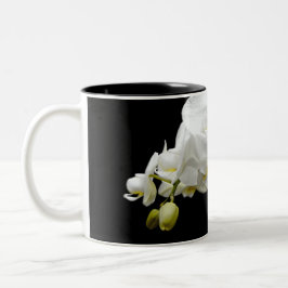 Weiße Orchideenbllosse Zweifarbige Tasse