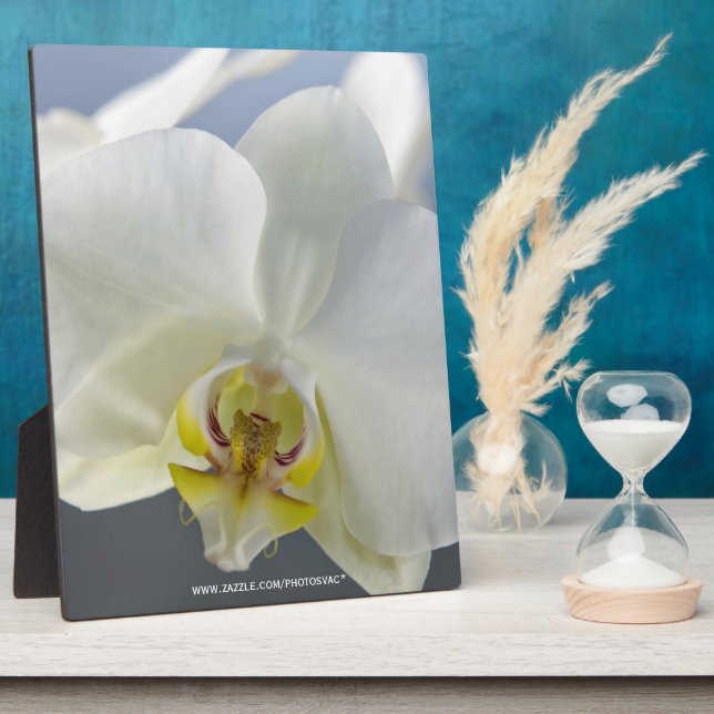 Weiße Orchideenblüte Fotoplatte (Seite)