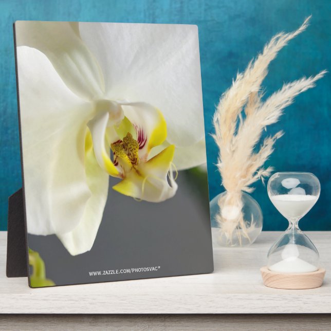Weiße Orchideenblüte Fotoplatte (Seite)