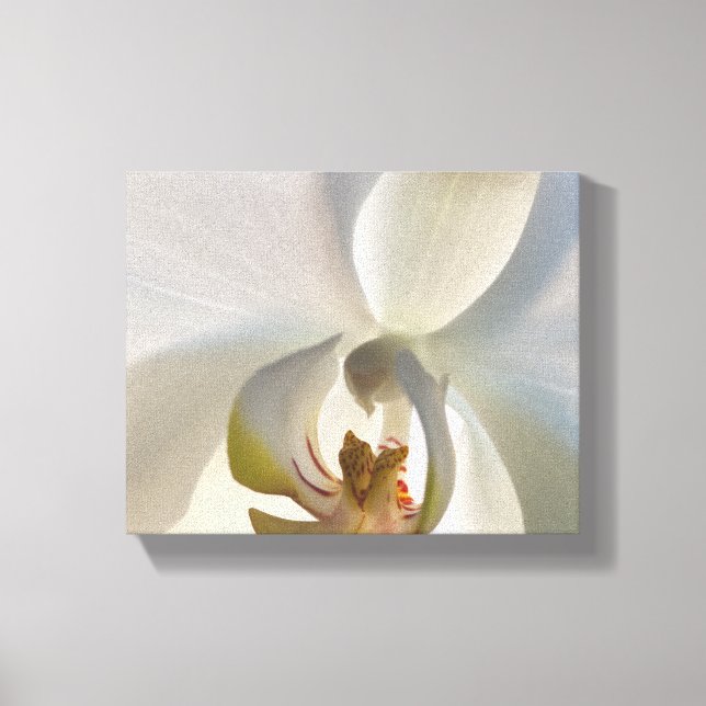 Weiße Orchideenblüte Leinwanddruck (Vorderseite)