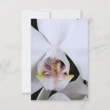 Weiße Orchideenblüten-Dankeskarte