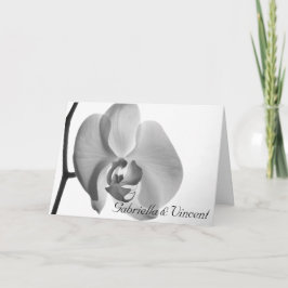 Weiße Orchideenhochzeit Einladung