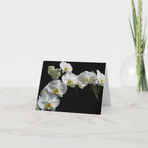 weiße Orchideenkarte Karte