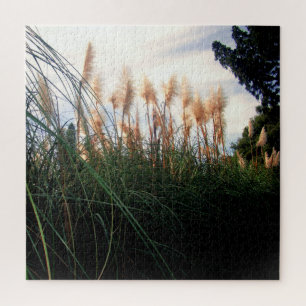Weiße Pampas Grass Blooms, Jigsaw Puzzle