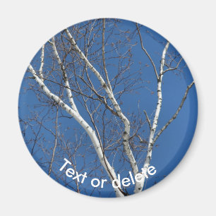 Weiße Papierbirke Blauer Himmel Natur Personalisie Magnet