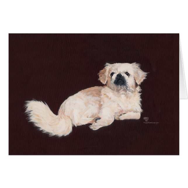Weiße Pekingese (Vorderseite (Horizontal))
