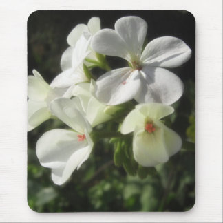 Weiße Pelargonien 1 - einfache Vergnügen Mousepad