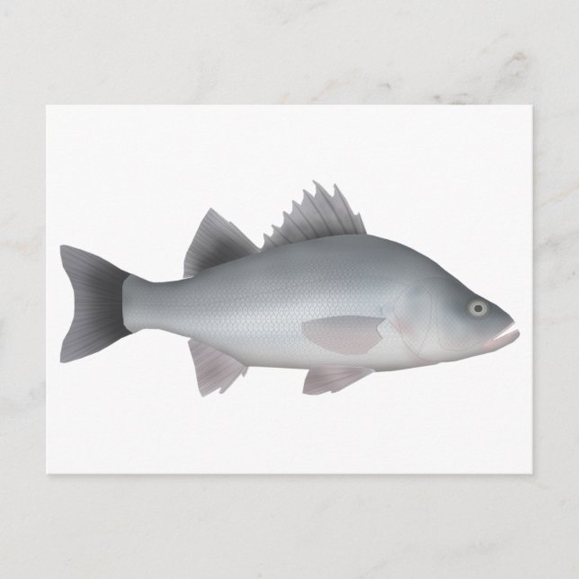 Weiße Perle Postkarte (Vorderseite)