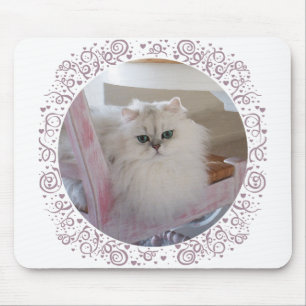 Weiße Perserkatze auf einem rosa Stuhl Mousepad