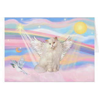 Weiße Perserkatze Engel in Wolken